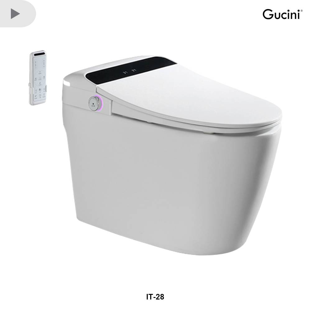 IT-28 Intelligent Toilet